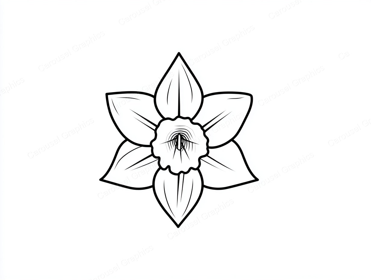 Daffodil Vector Graphic preview