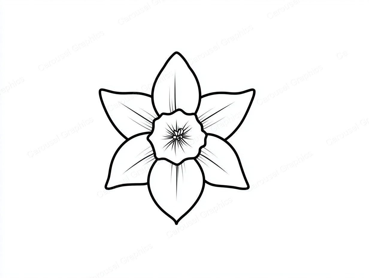 Daffodil Vector Graphic preview