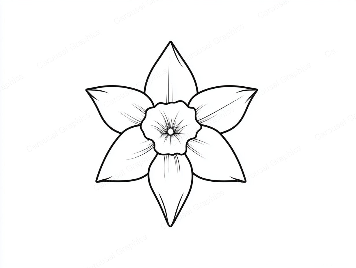 Daffodil Vector Graphic preview