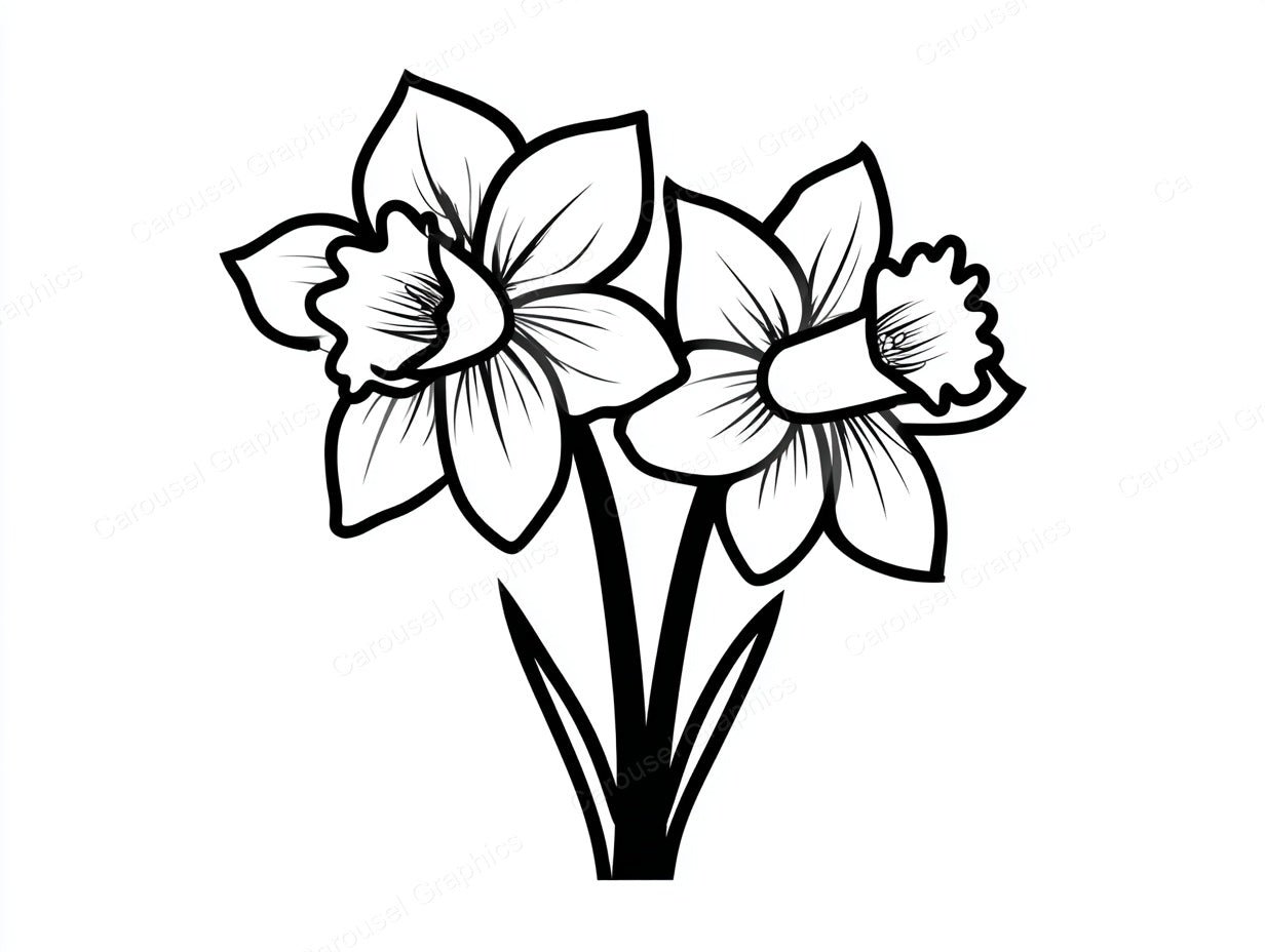 Daffodil Vector Graphic preview