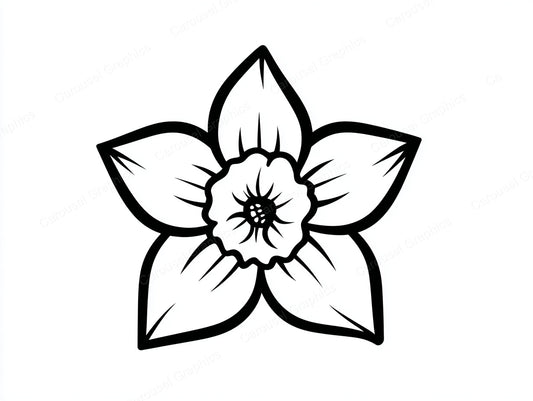 Daffodil Vector Graphic preview