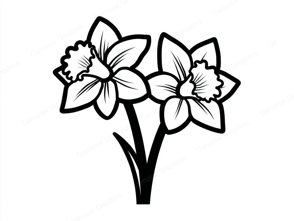 Daffodil Vector Graphic preview