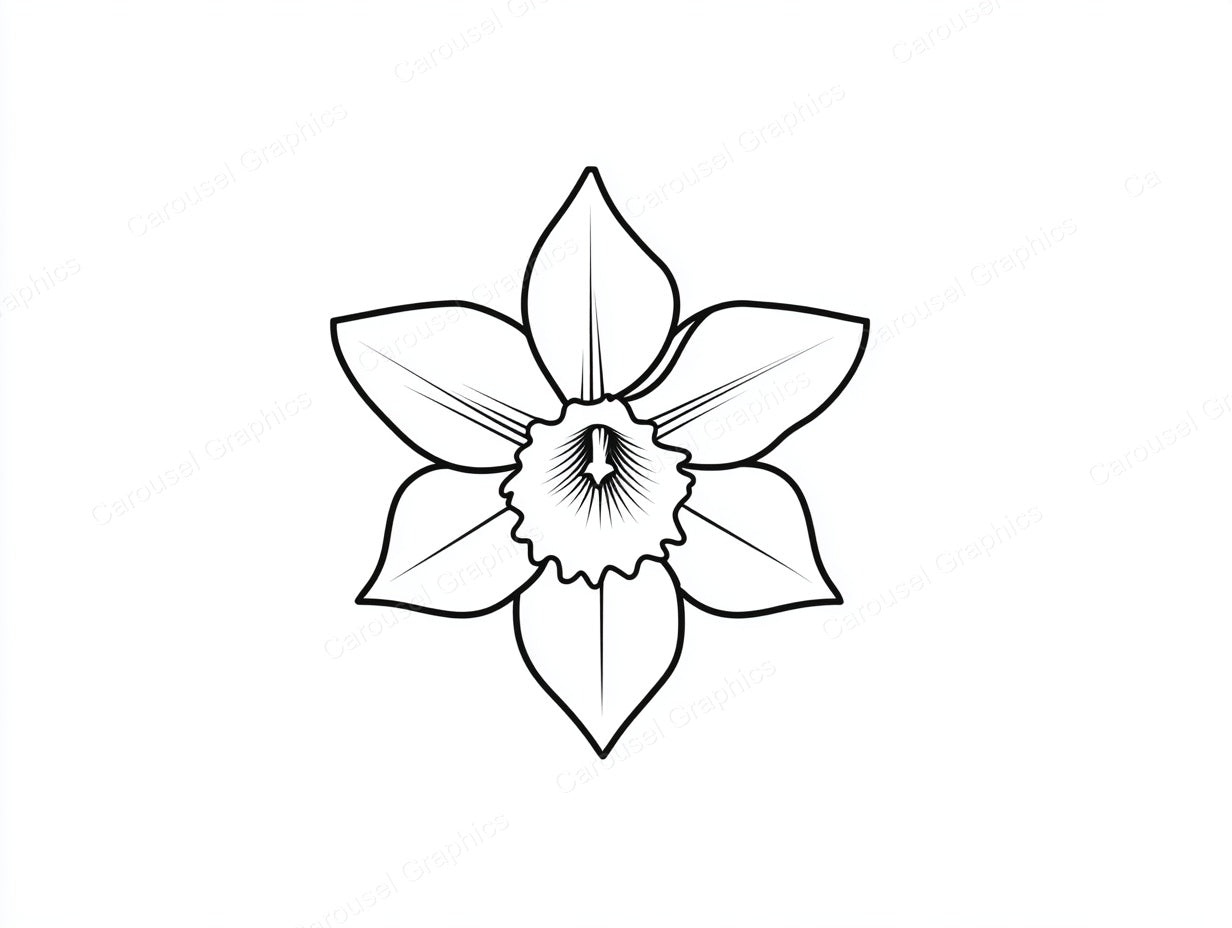 Daffodil Vector Graphic preview