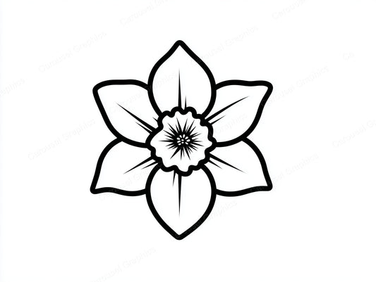 Daffodil Vector Graphic preview