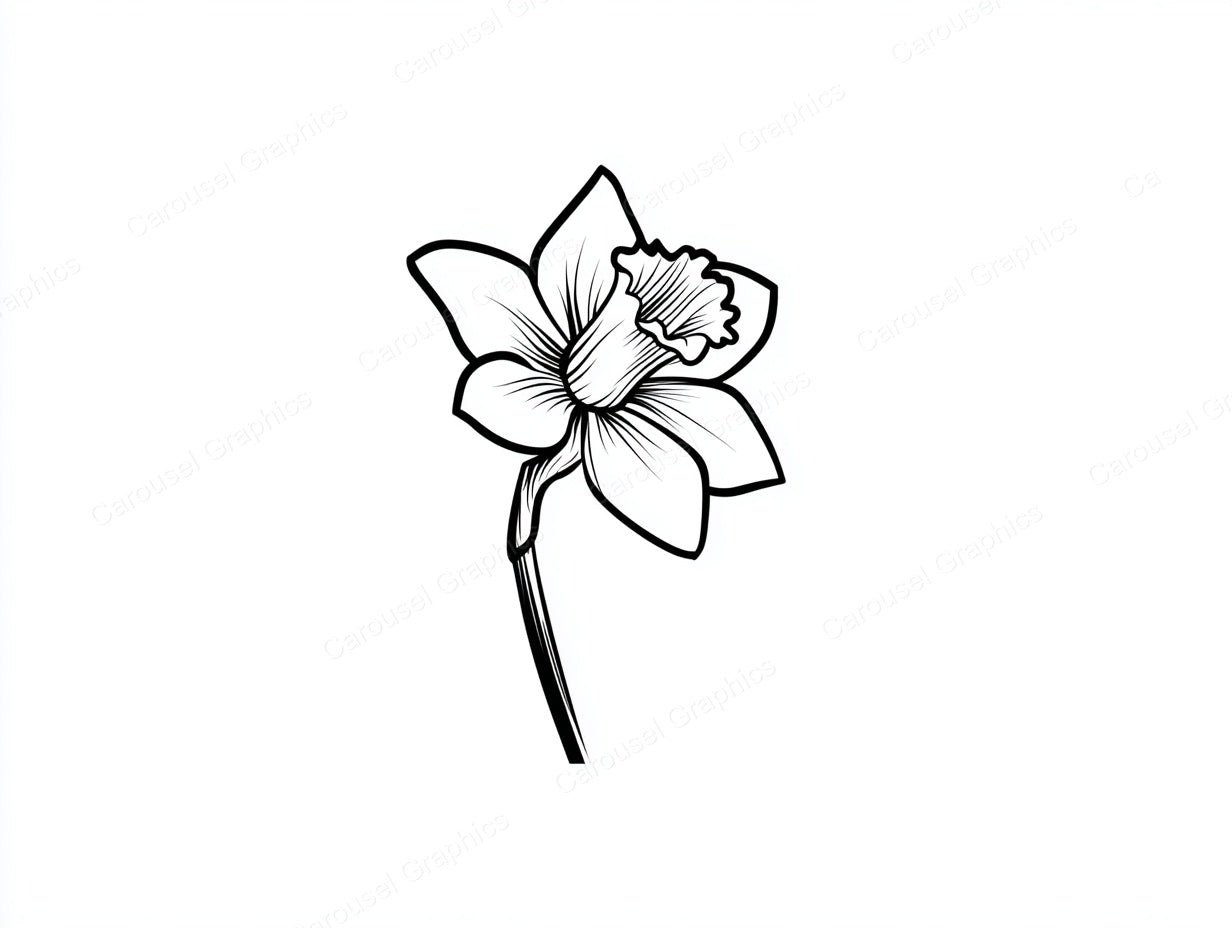 Daffodil Vector Graphic preview
