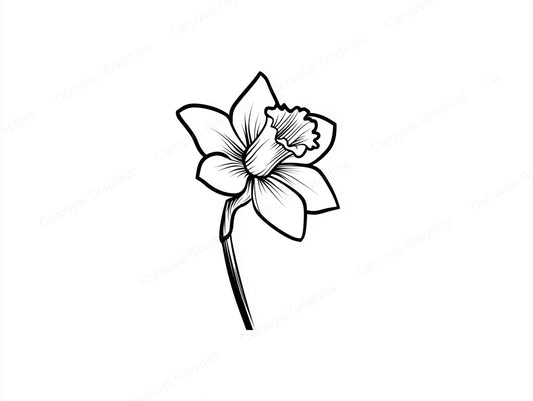 Daffodil Vector Graphic preview