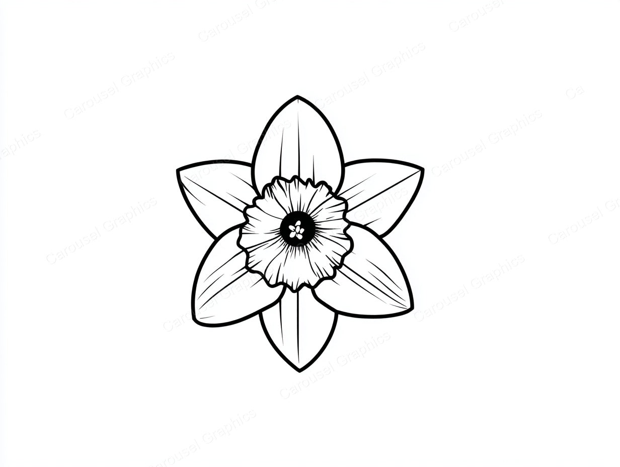 Daffodil Vector Graphic preview