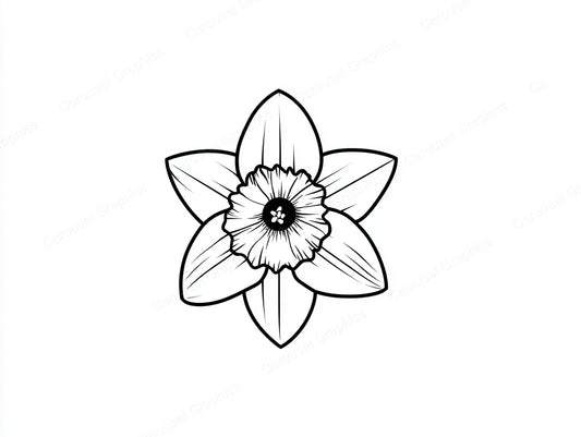 Daffodil Vector Graphic preview