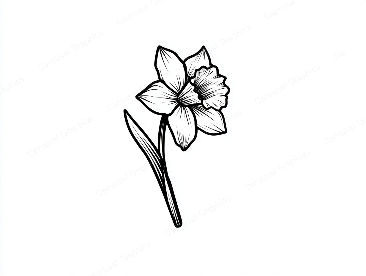 Daffodil Vector Graphic preview
