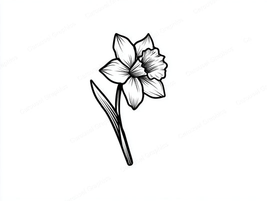 Daffodil Vector Graphic preview
