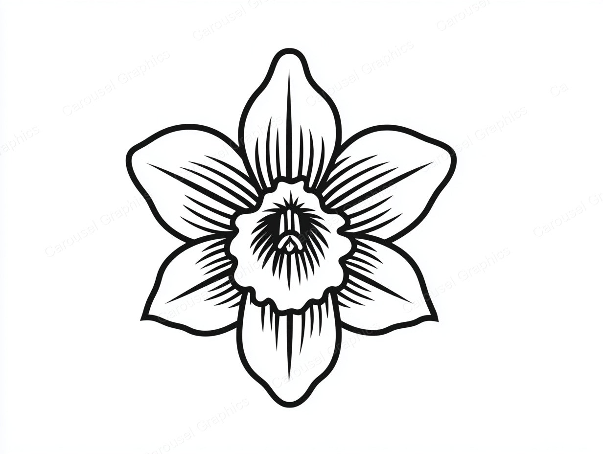 Daffodil Vector Graphic preview