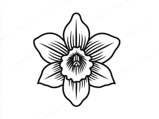 Daffodil Vector Graphic preview