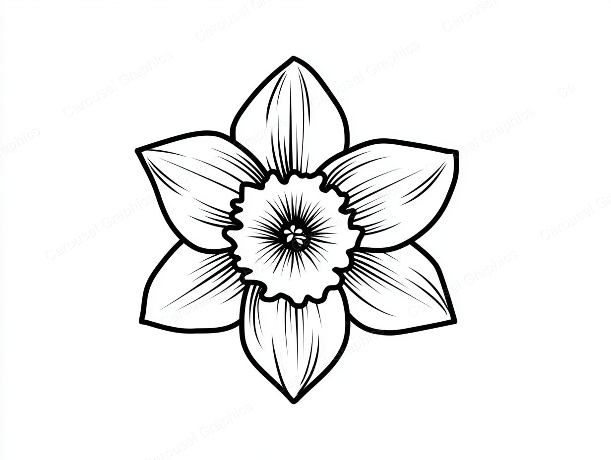 Daffodil Vector Graphic preview
