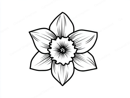 Daffodil Vector Graphic preview