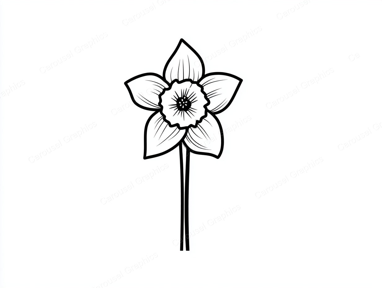 Daffodil Vector Graphic preview