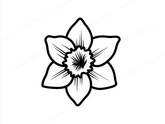 Daffodil Vector Graphic preview