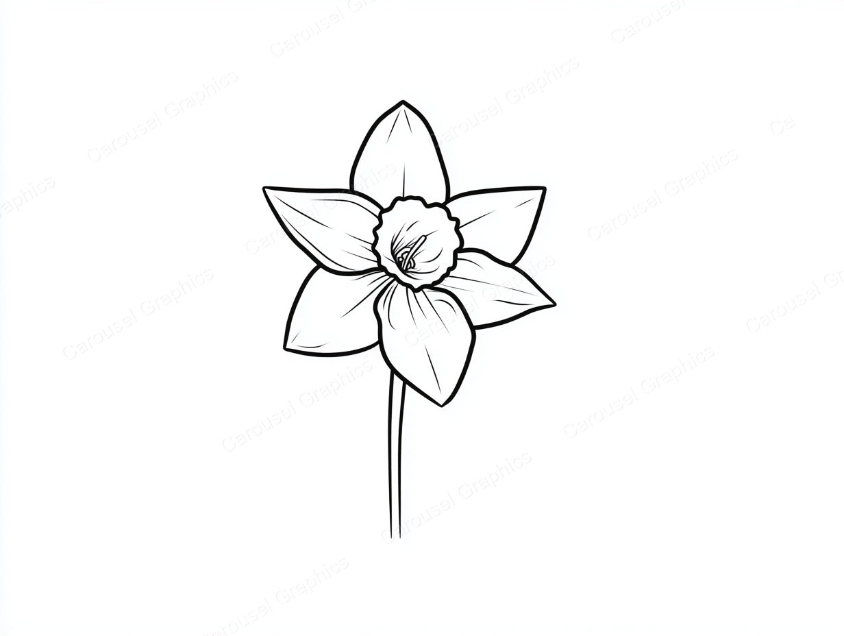 Daffodil Vector Graphic preview