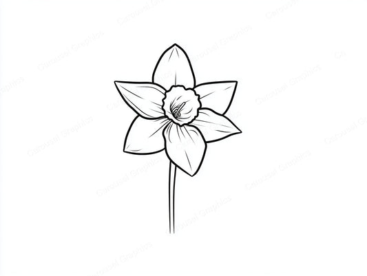 Daffodil Vector Graphic preview