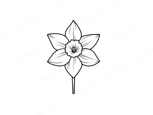Daffodil Vector Graphic preview