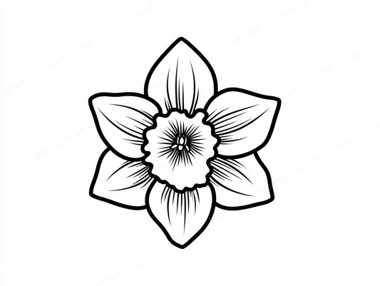 Daffodil Vector Graphic preview