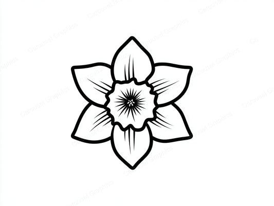 Daffodil Vector Graphic preview