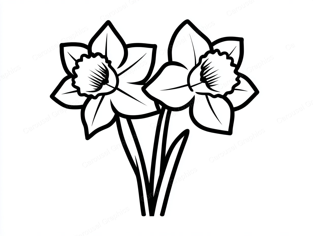 Daffodil Vector Graphic preview