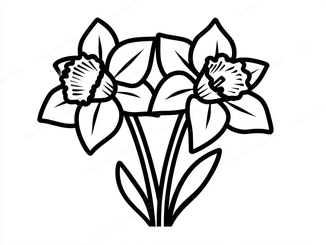 Daffodil Vector Graphic preview