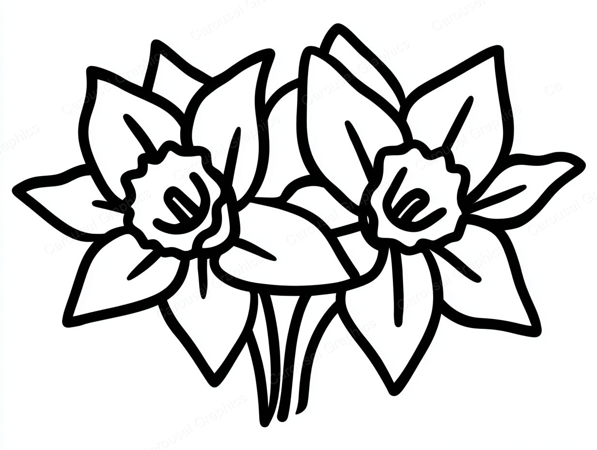 Daffodil Vector Graphic preview