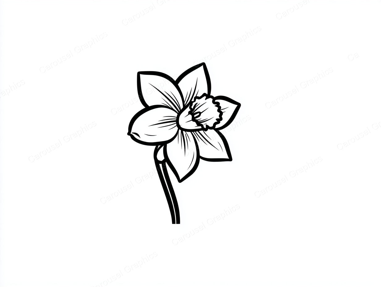 Daffodil Vector Graphic preview