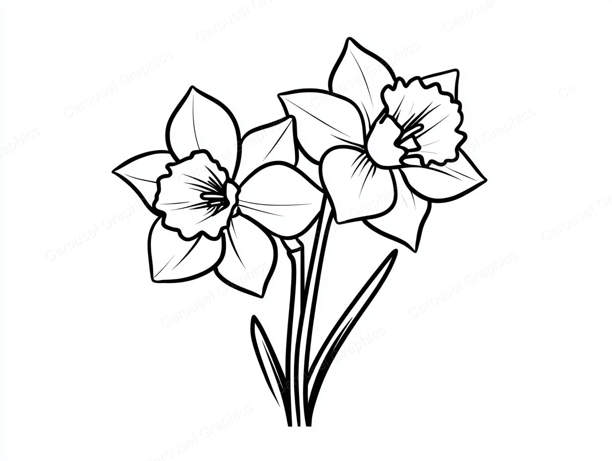 Daffodil Vector Graphic preview