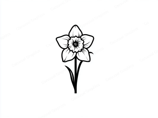Daffodil Vector Graphic preview