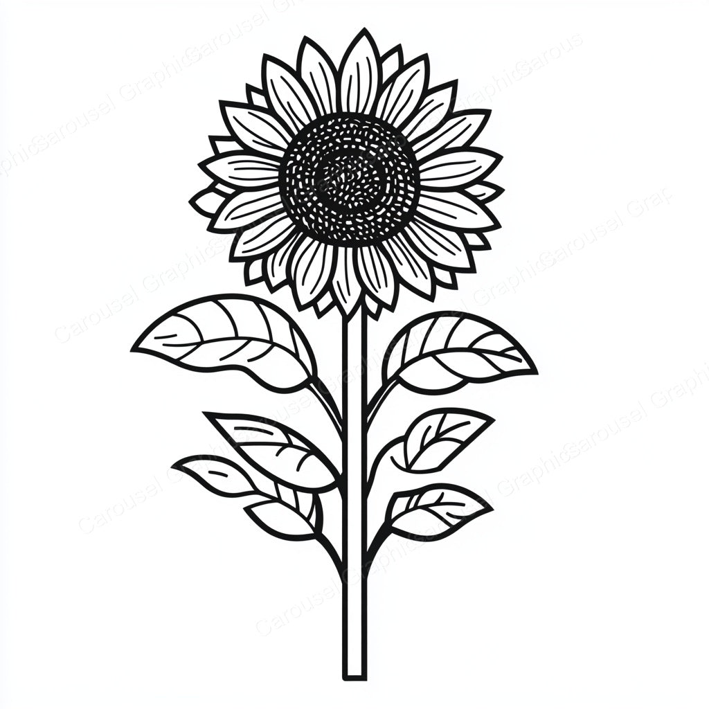 Sunflower Vector Graphic preview