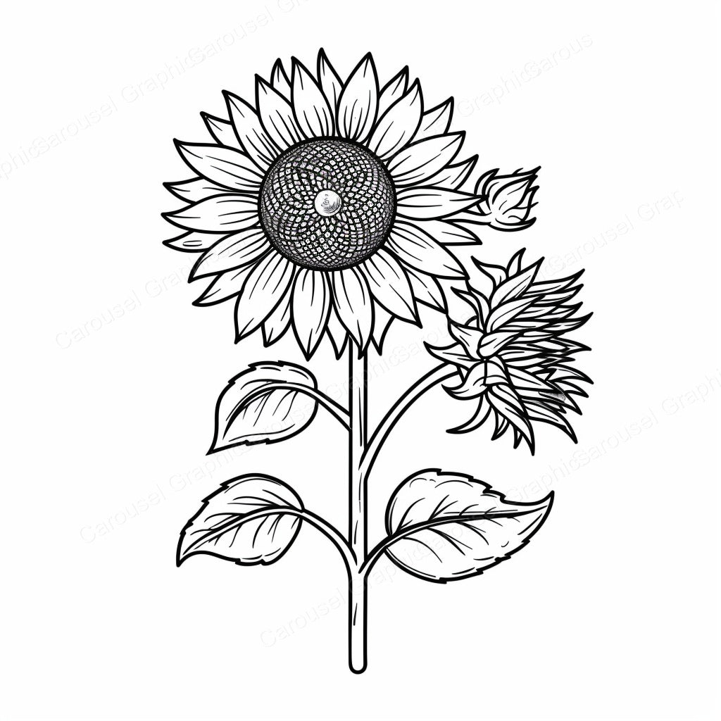 Sunflower Vector Graphic preview