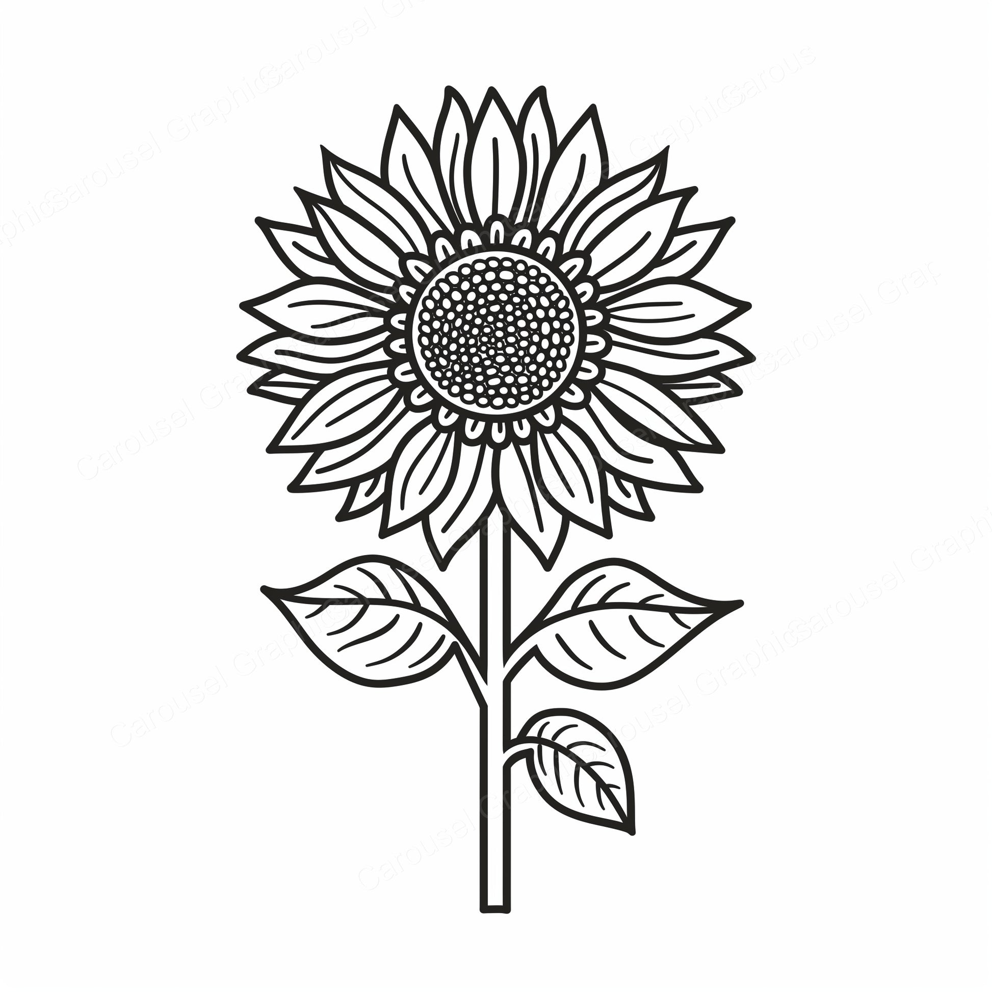 Sunflower Vector Graphic preview