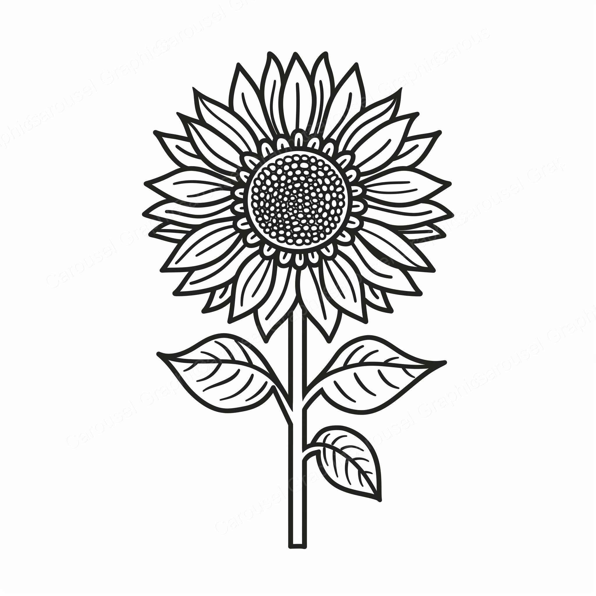 Sunflower Vector Graphic preview