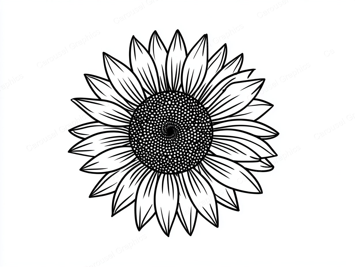 Sunflower Vector Graphic preview