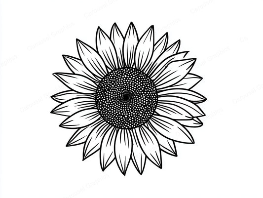Sunflower Vector Graphic preview