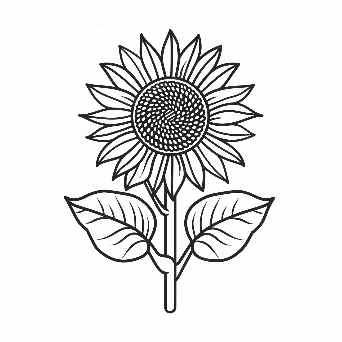 Sunflower Vector Graphic preview