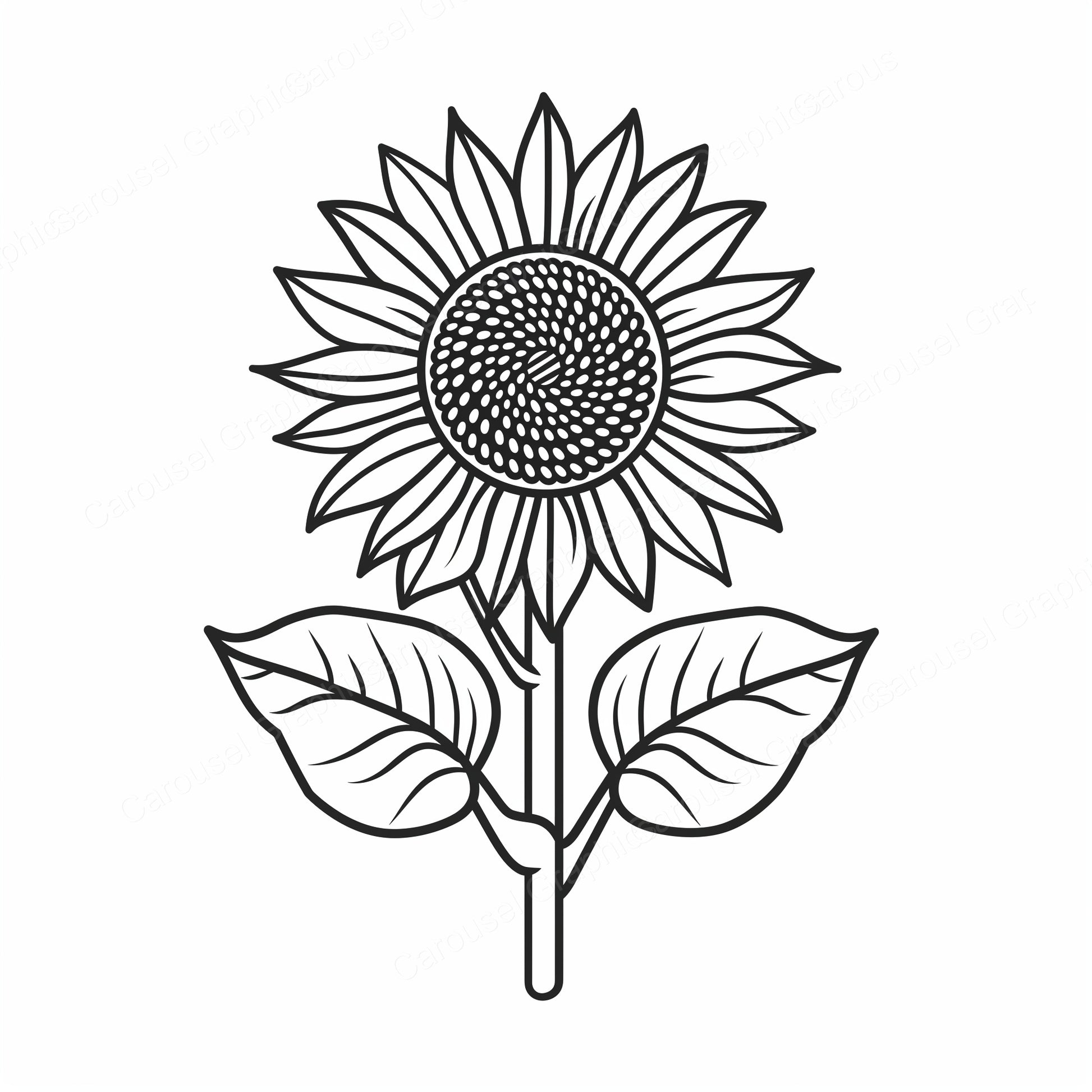 Sunflower Vector Graphic preview