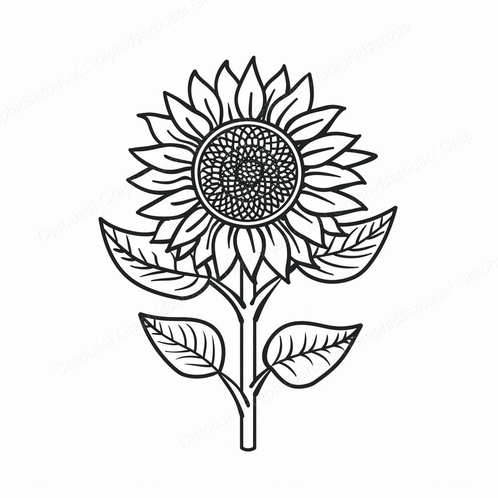 Sunflower Vector Graphic preview