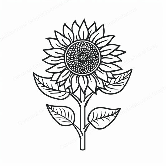Sunflower Vector Graphic preview