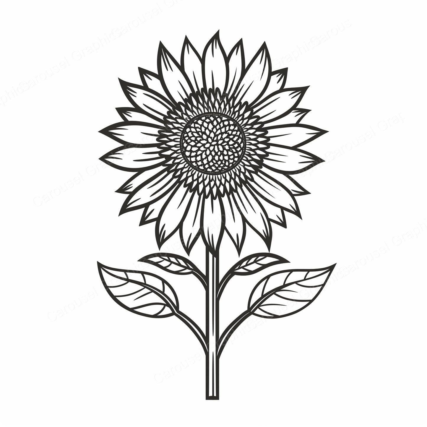 Sunflower Vector Graphic preview