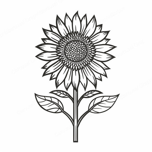Sunflower Vector Graphic preview