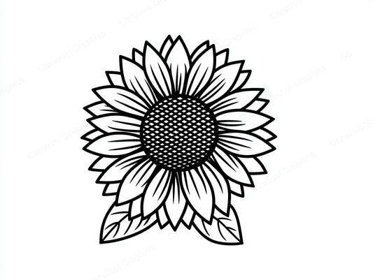 Sunflower Vector Graphic preview