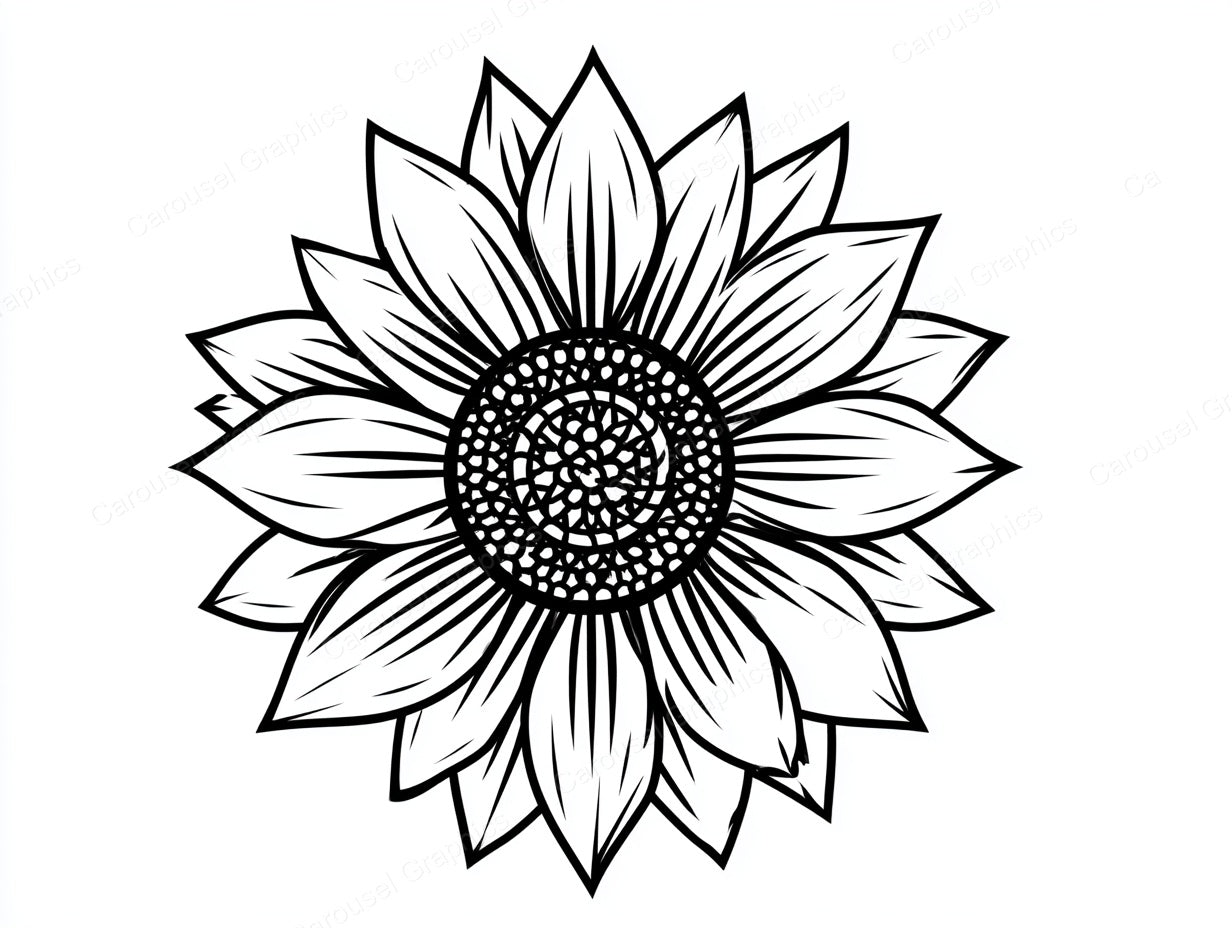 Sunflower Vector Graphic preview