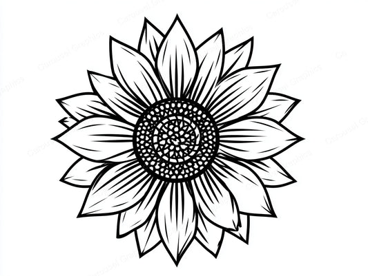 Sunflower Vector Graphic preview
