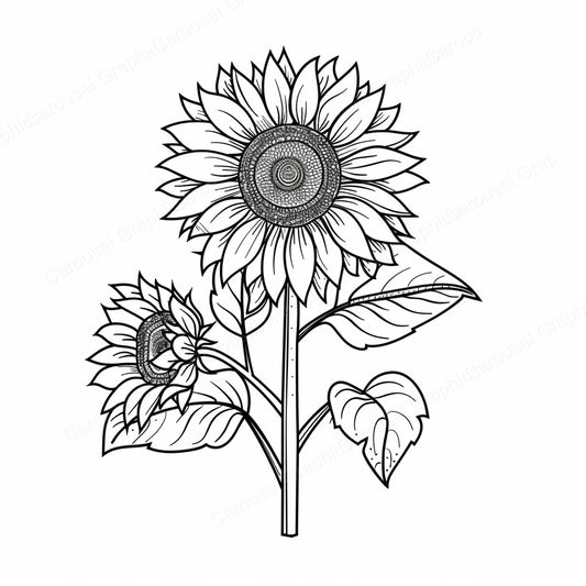 Sunflower Vector Graphic preview