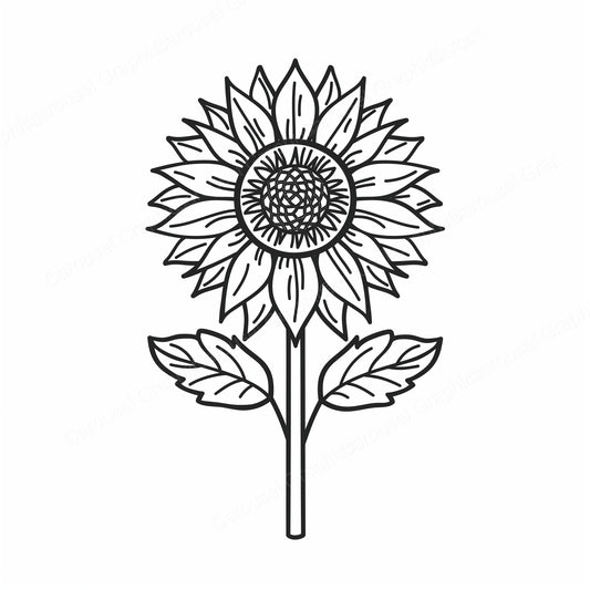 Sunflower Vector Graphic preview
