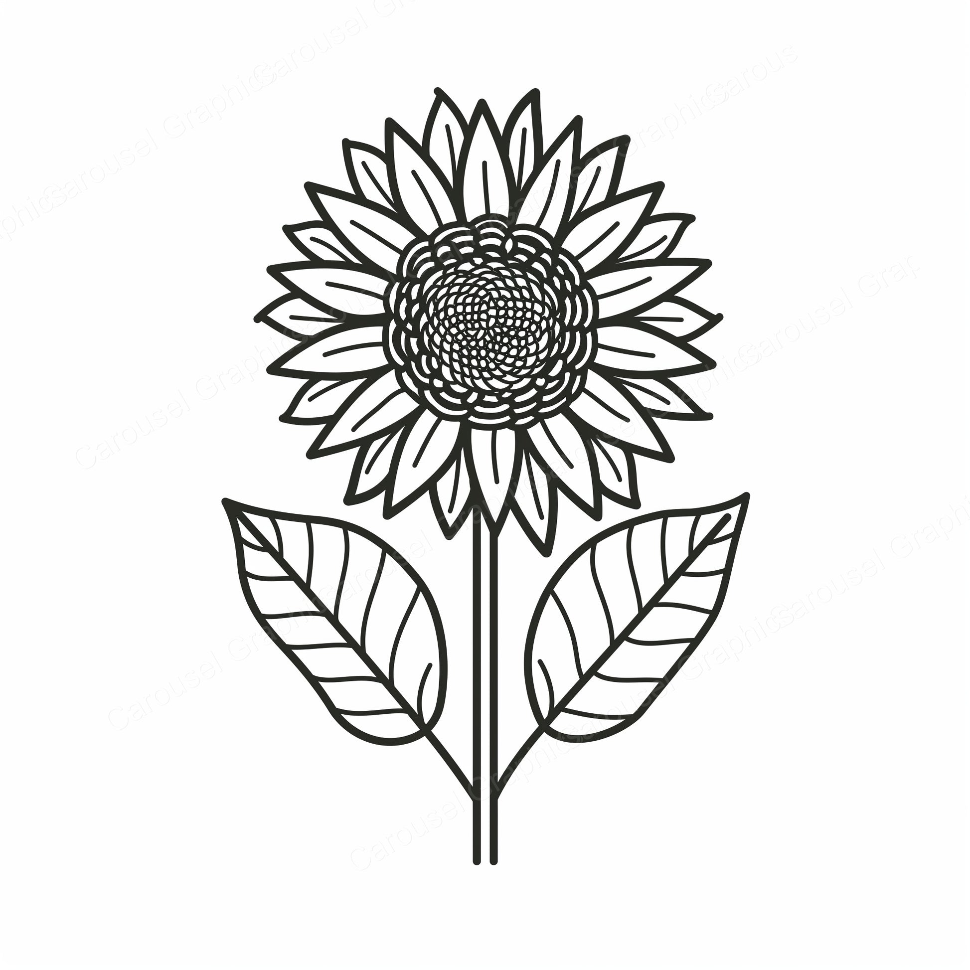 Sunflower Vector Graphic preview