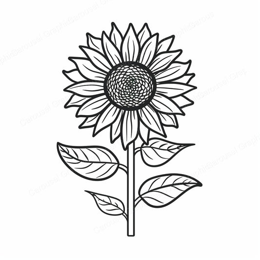 Sunflower Vector Graphic preview